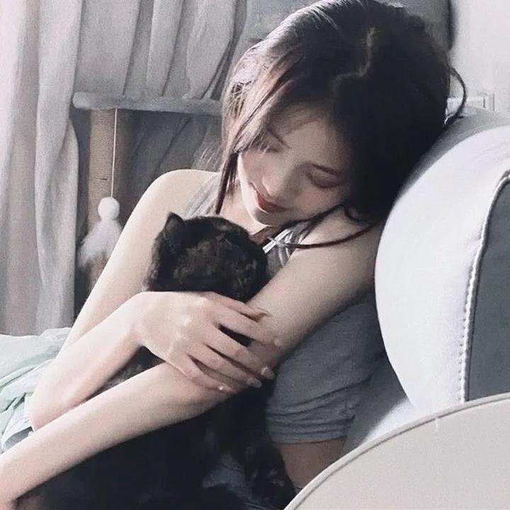 狐狸躲进洞