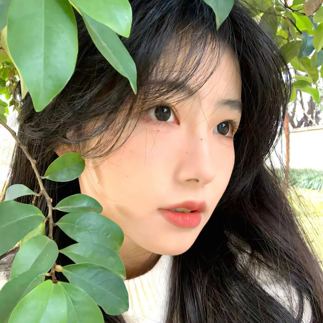 春潮烂漫海棠红